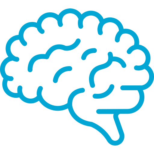 brain icon